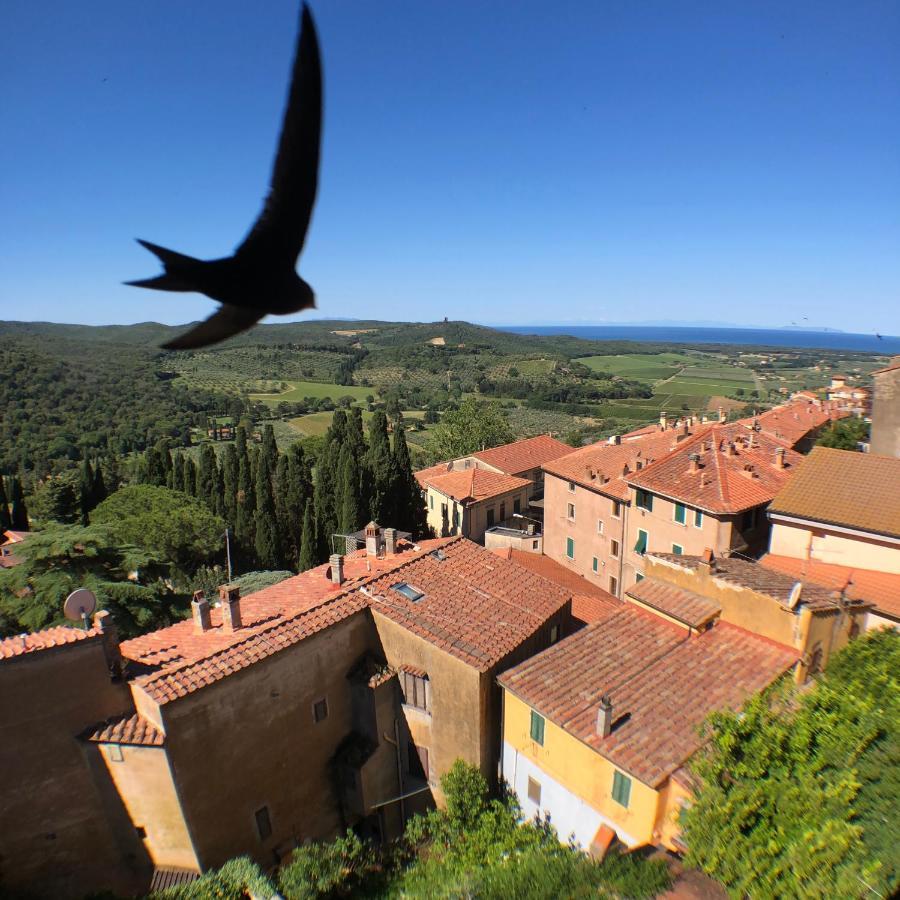 Bed and Breakfast Bed & Wine La vite maritata Castagneto Carducci Exterior foto